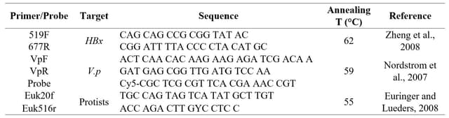 A thumbnail of the file image