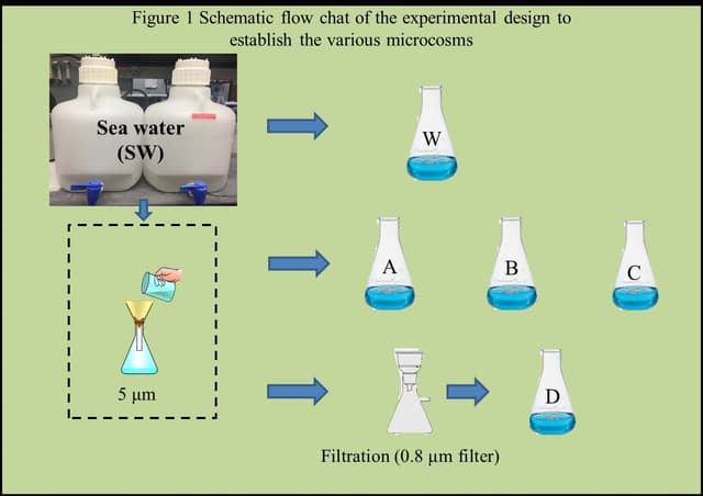 A thumbnail of the file image