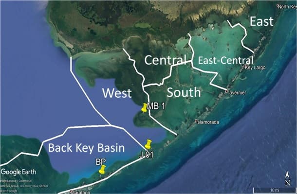 A thumbnail of the file image