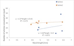 A thumbnail of the file image