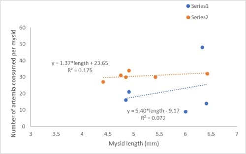 A thumbnail of the file image