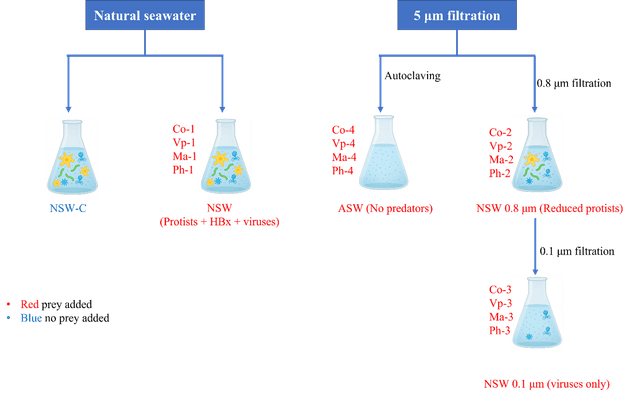 A thumbnail of the file image