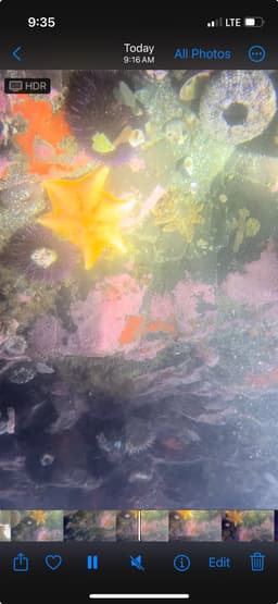 A thumbnail of the file image
