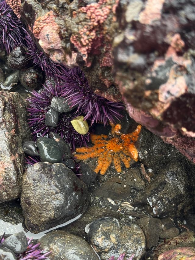 A thumbnail of the file image