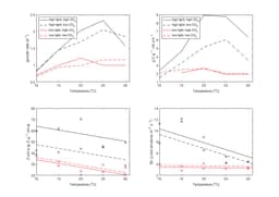 A thumbnail of the file image